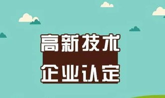社会经济咨询服务项目申报周期优化 高效选择指南