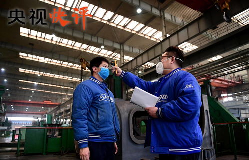 努力完成全年经济社会发展目标任务 社会经济咨询服务的关键作用